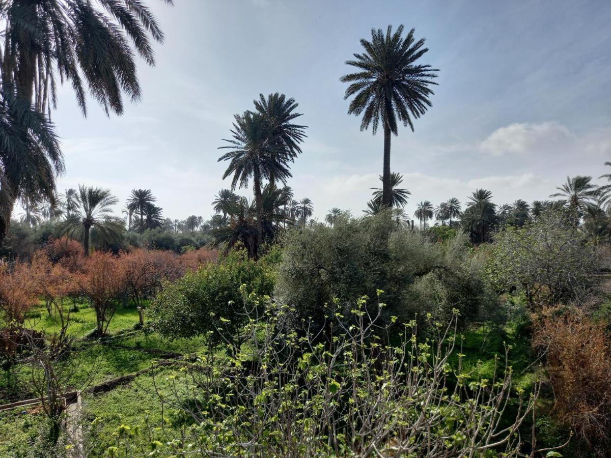 Dar Seddik Hotel Gafsa Екстериор снимка