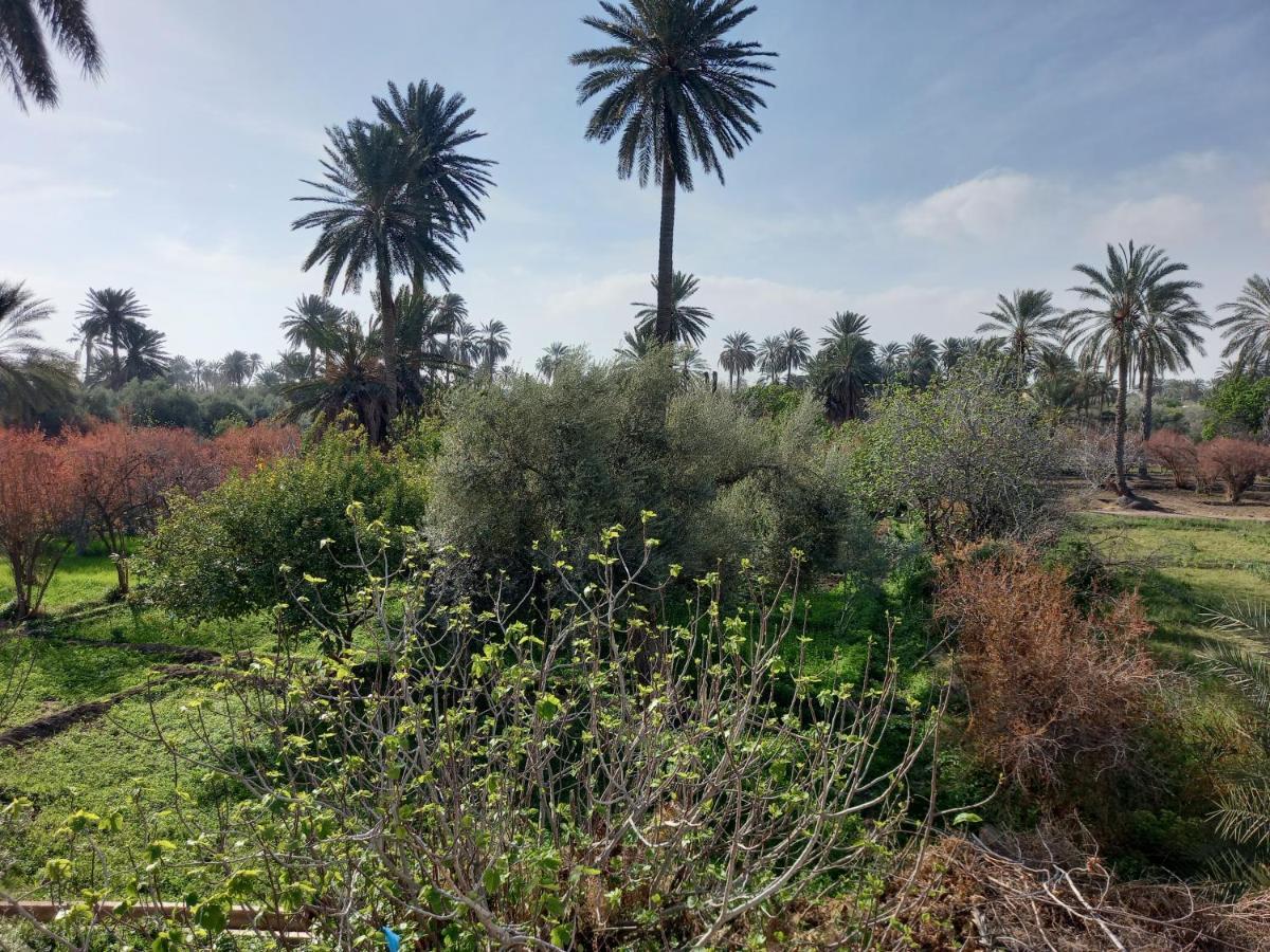 Dar Seddik Hotel Gafsa Екстериор снимка