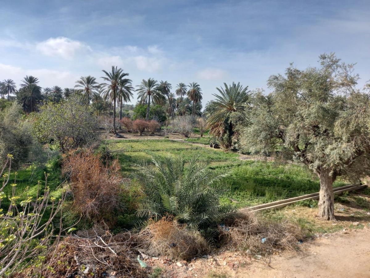 Dar Seddik Hotel Gafsa Екстериор снимка