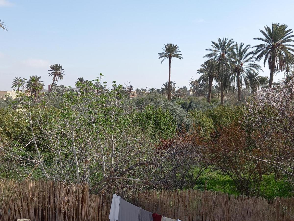 Dar Seddik Hotel Gafsa Екстериор снимка